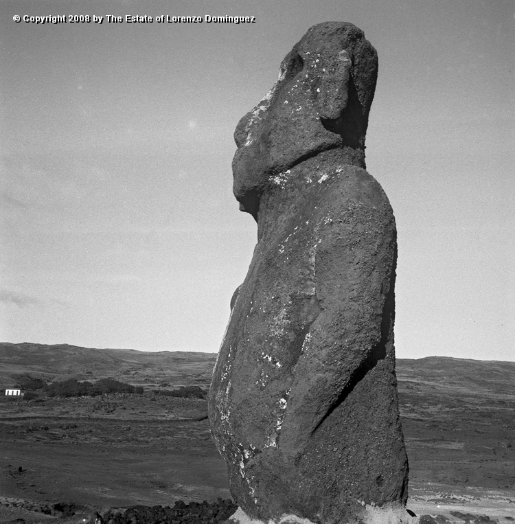ANA_Moai_03.jpg - Easter Island. 1960. Anakena. Moai raised by Heyerdahl's Kontiki expedition.